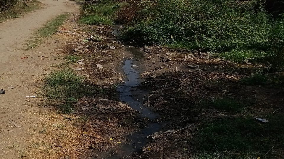 IGRS Complaint Sparks Row in Agra as Probe Officer Accused of Misconduct and Fake Disposal