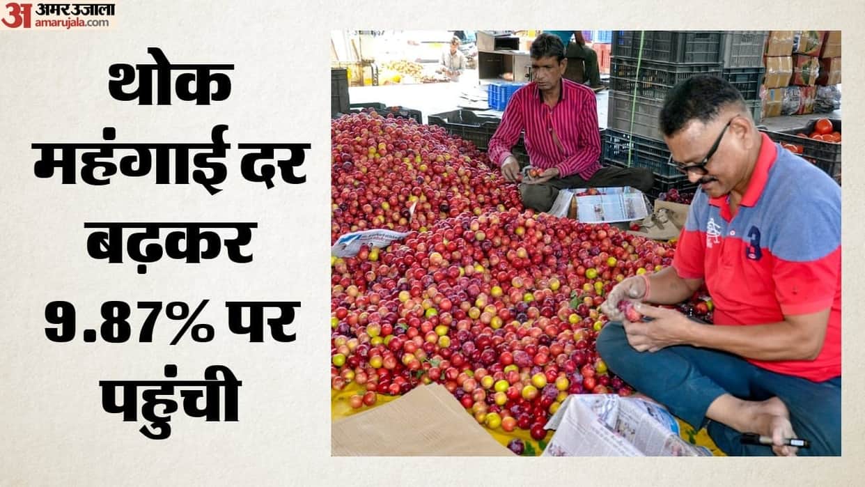 WPI inflation increases to 9.87 pc in June; minerals, food items see price spike