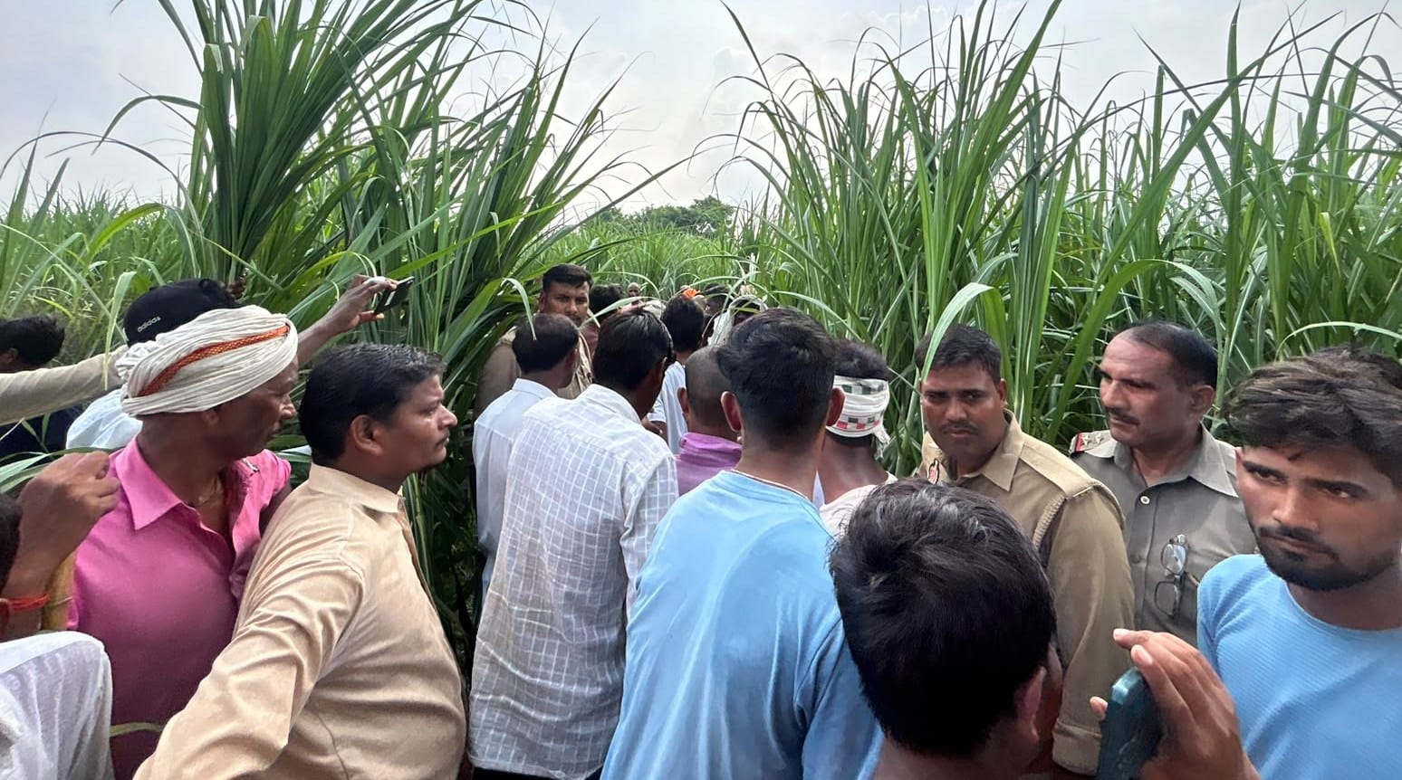 बाघ से हमले से किसान की मौत।