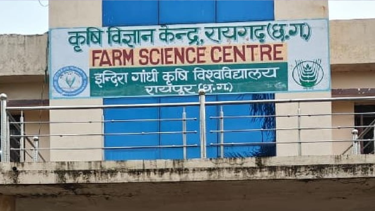 Chhattisgarh Monsoon increases risk of infection, experts offer important advice on diet and hygiene