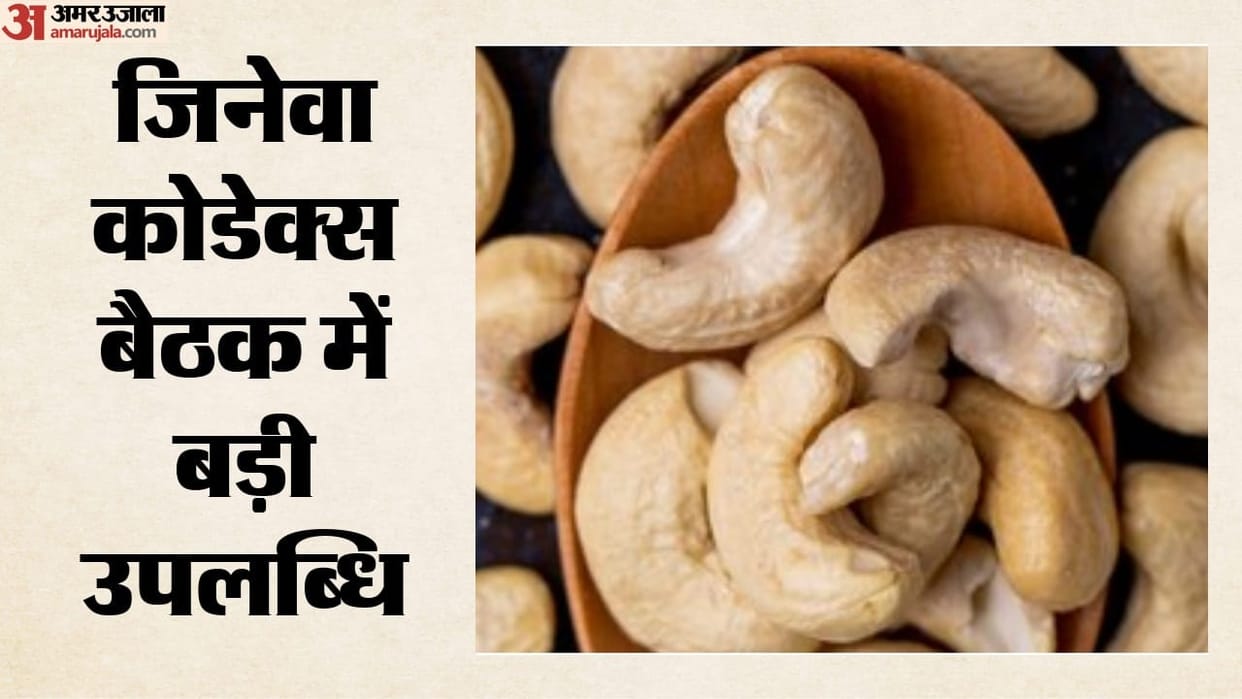 codex-commission-approves-seven-indian-proposals-cashew-to-get-first-global-standard