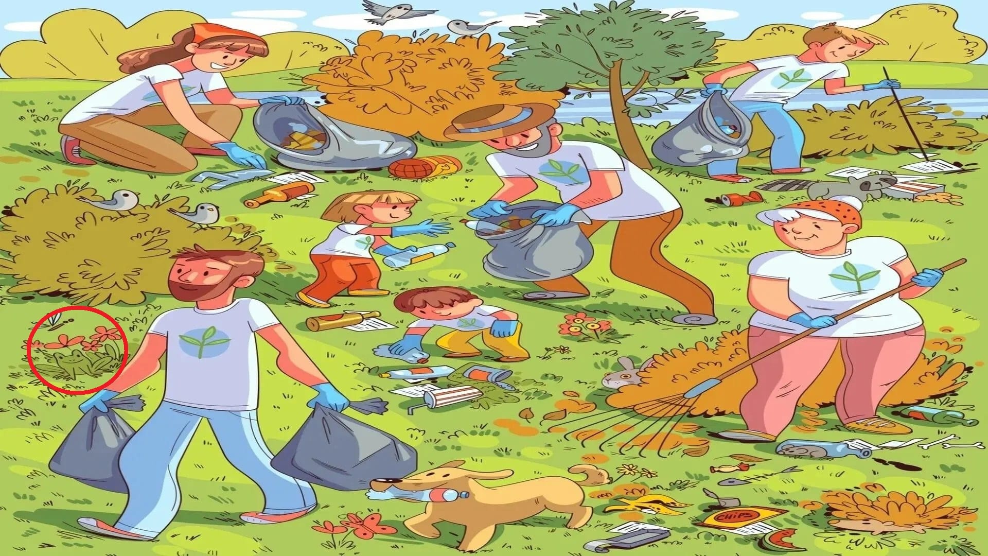 Optical Illusion Iq Test can you find frog in this picture