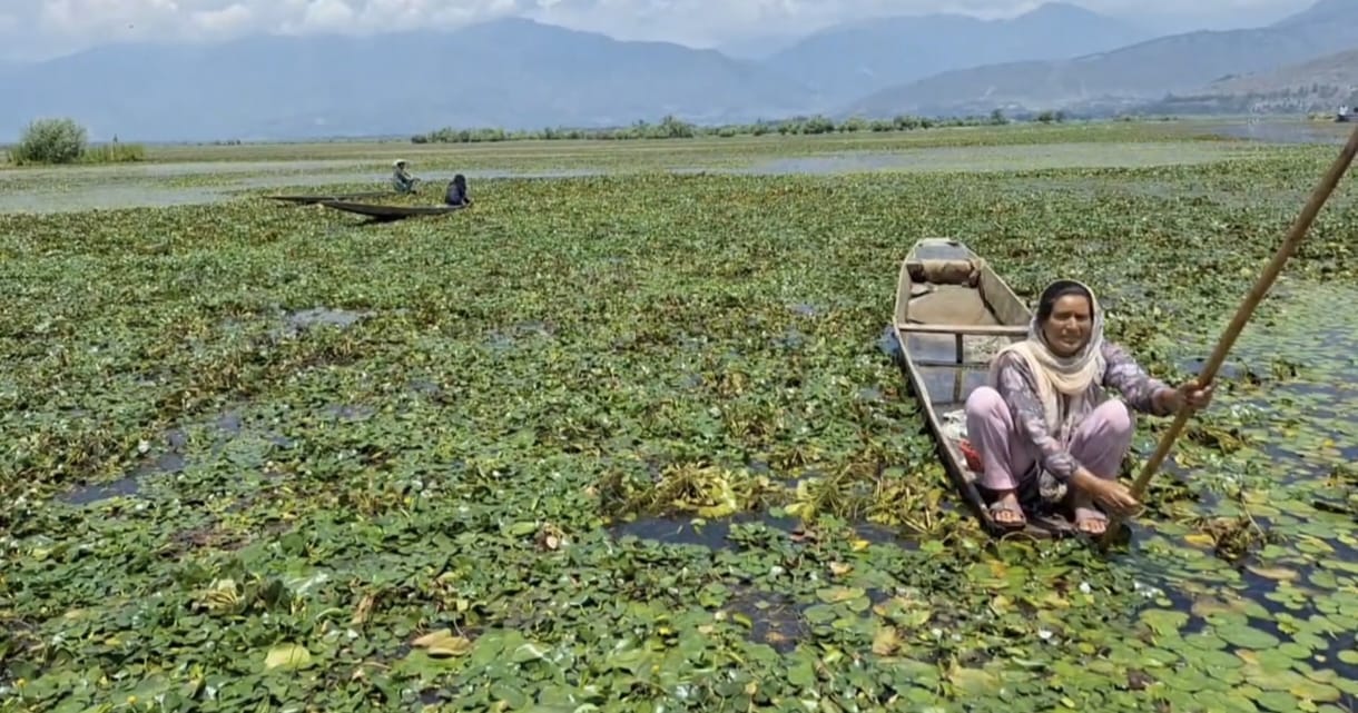 Health crisis looms over women of Wular Lake.