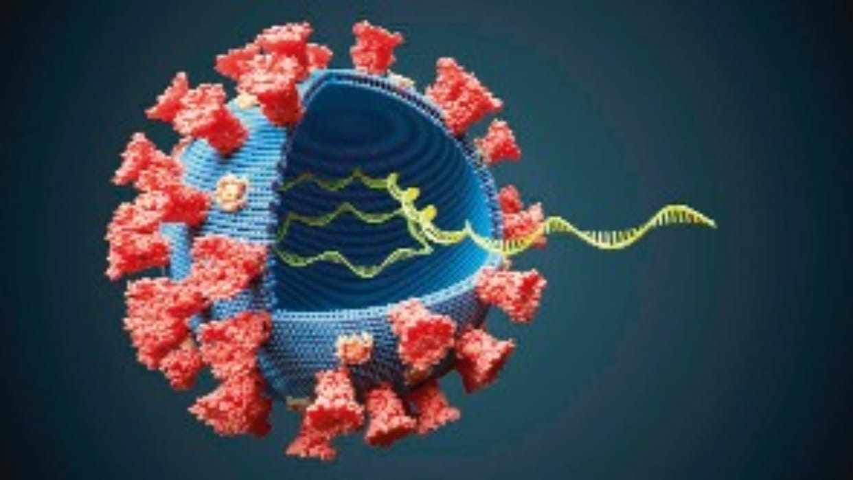 The catalog will indicate how dangerous each virus is