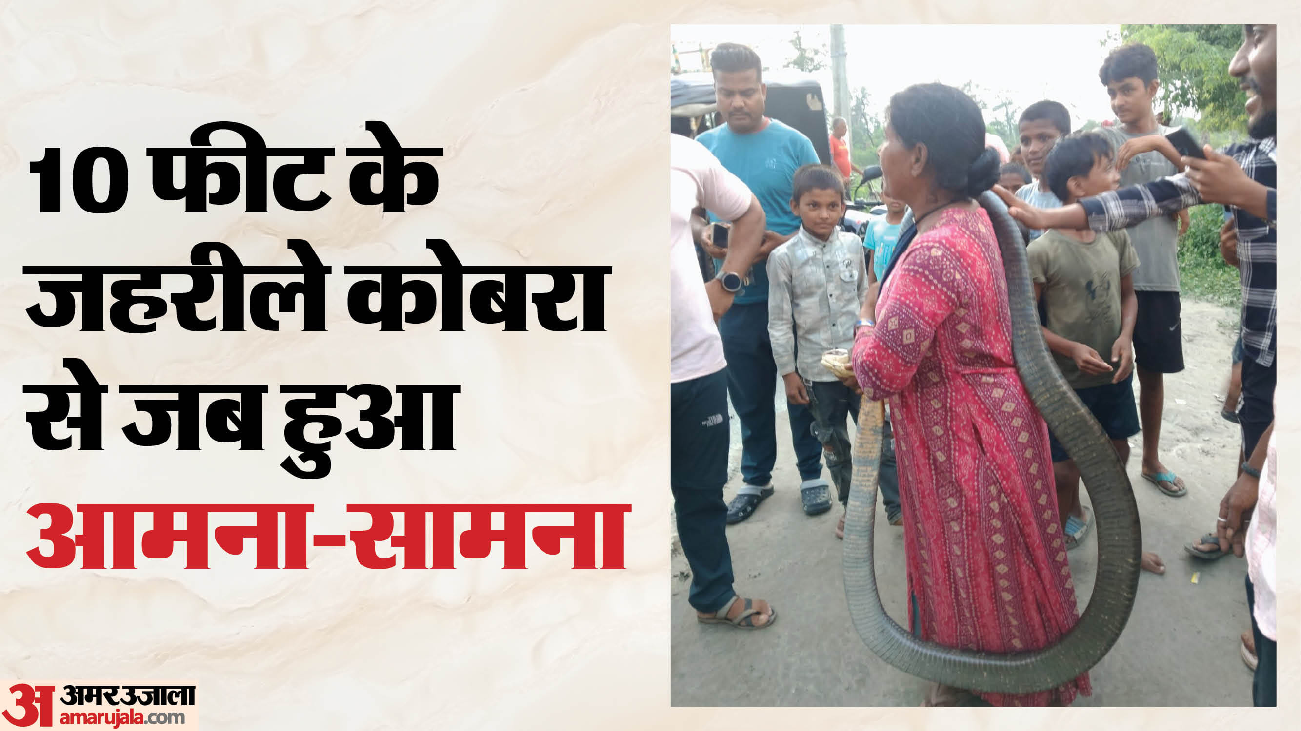 10 फीट के कोबरा को महिला ने जिंदा पकड़ लिया