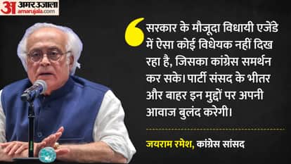 जयराम रमेश, कांग्रेस सांसद