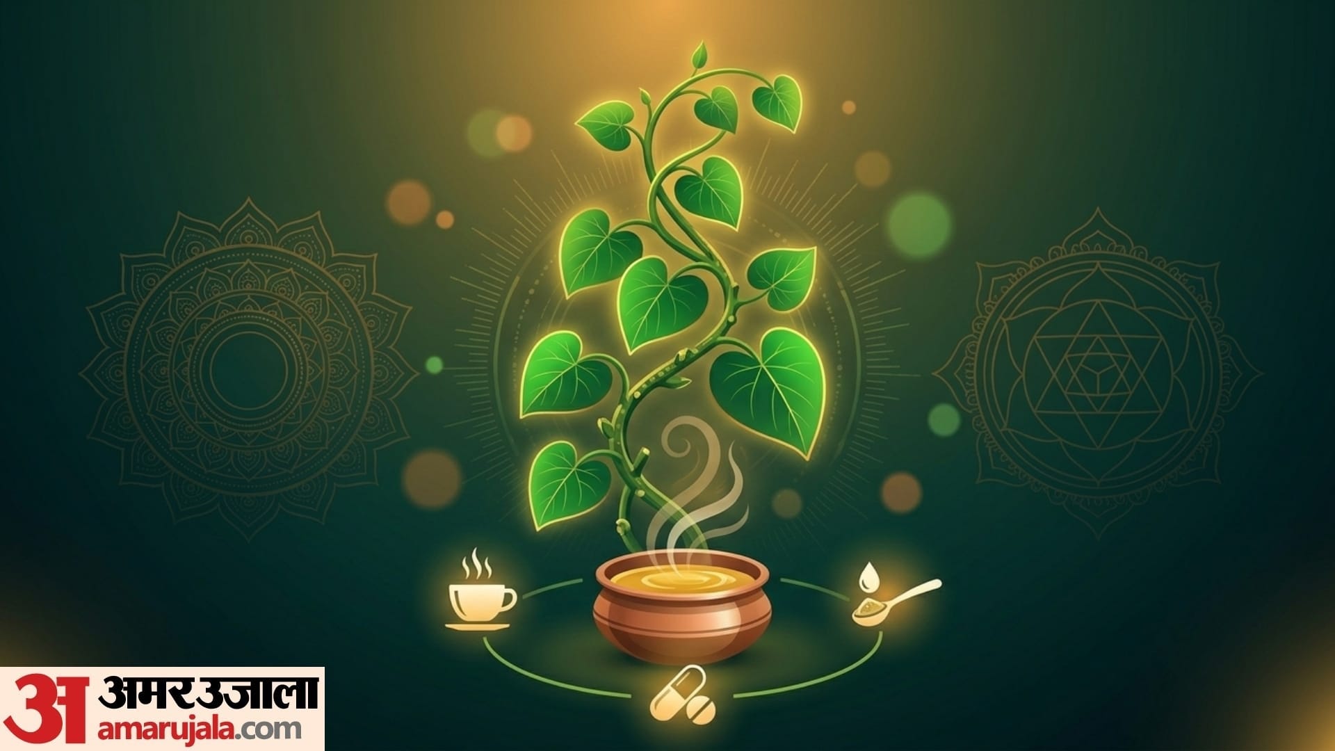 what are the advantages of giloy in hindi giloy ka use kaise kare