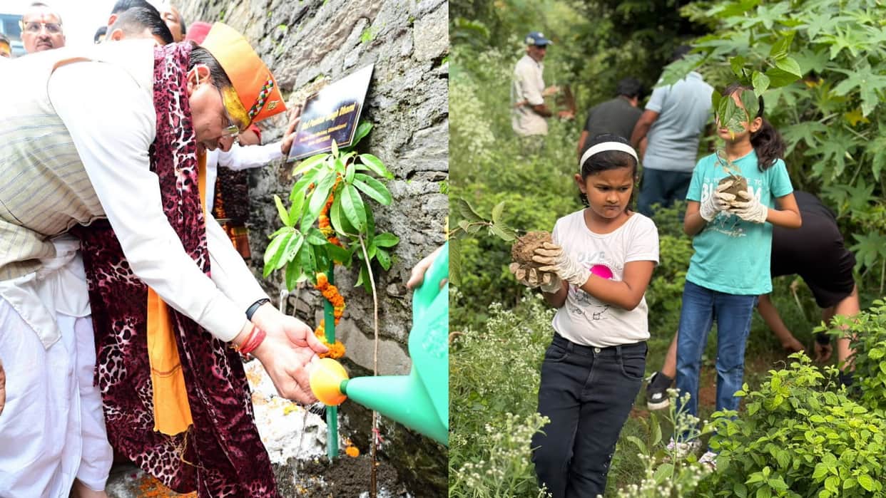 Harela Festival 2026 massive plantation drive across uttarakhand BJP launches six lakh saplings campaign