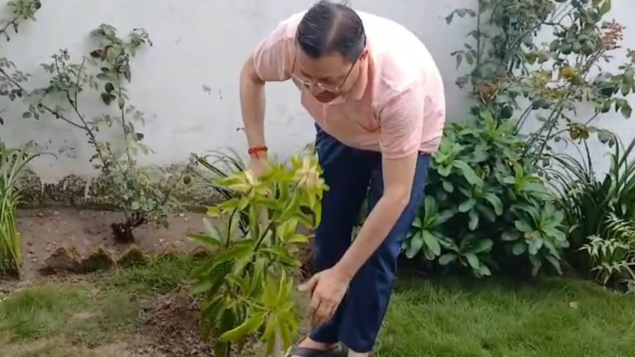 Harela Festival 2026 massive plantation drive across uttarakhand BJP launches six lakh saplings campaign
