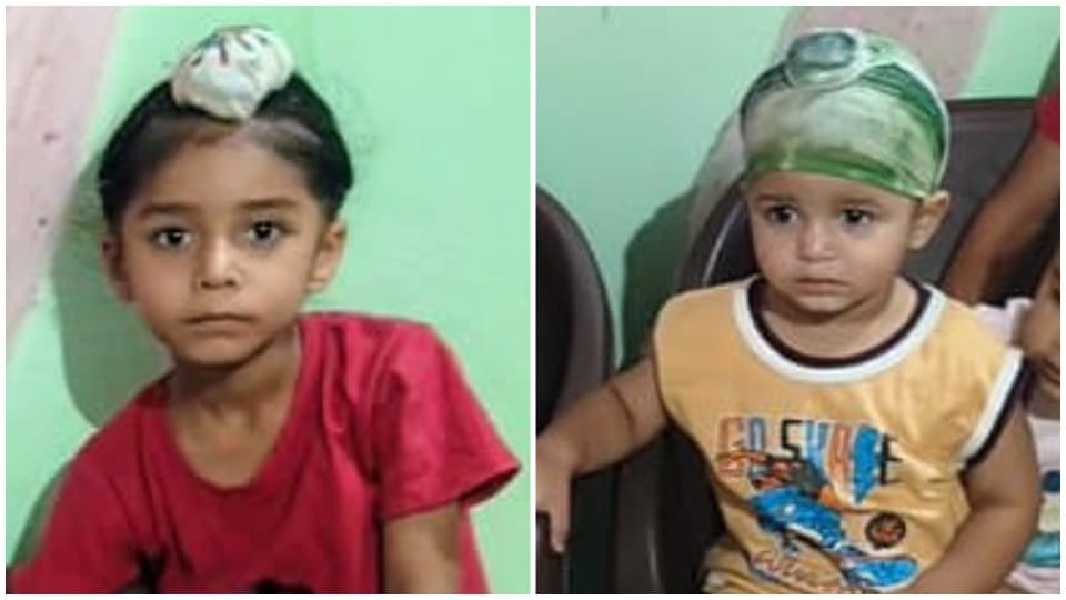 Two brothers die after consuming a poisonous substance