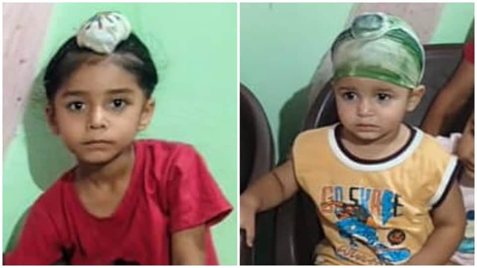 जहरीला पदार्थ खाने से दो भाइयों की मौत