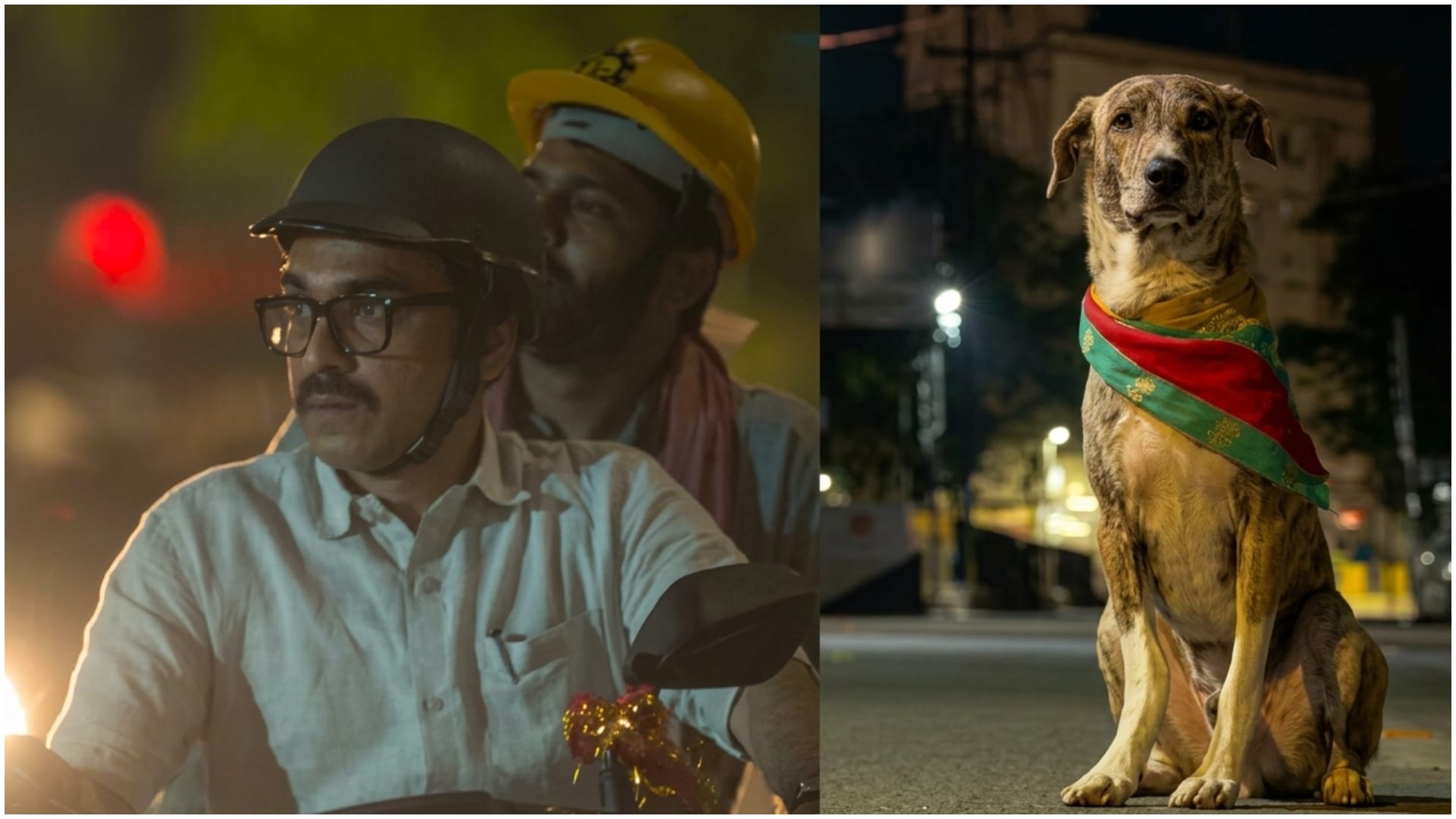 Ohh My Dog Collection Falls While DC Tamil Gets A Good Start At Box Office