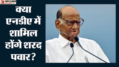 शरद पवार, एनसीपी-एसपी प्रमुख