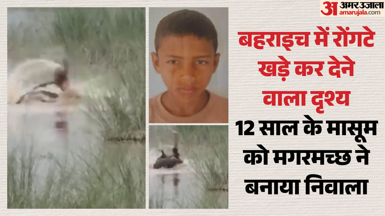 12-year-old boy was eaten alive by crocodile in Bahraich people were left trembling after watching video
