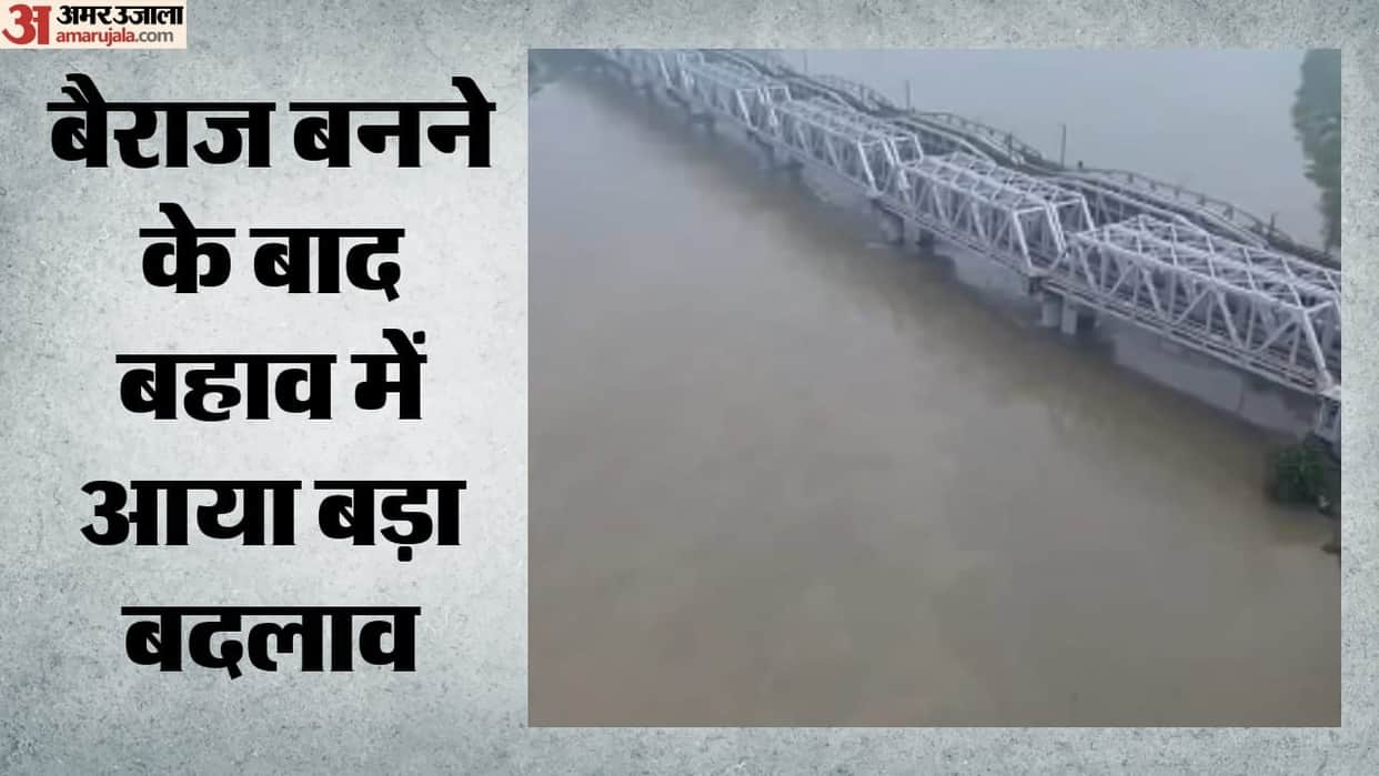 Save Yamuna: Yamuna in Delhi has shrunk by 68% in 225 years, water flow has decreased by 89%.
