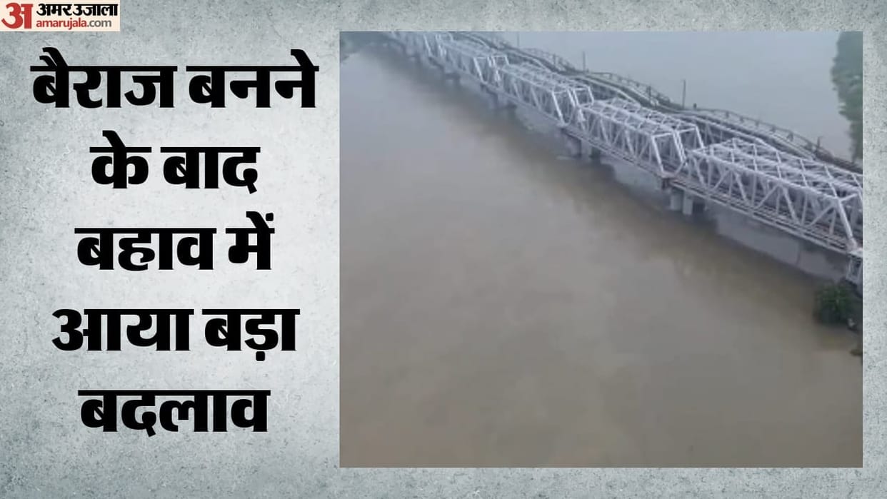 Save Yamuna: Yamuna in Delhi has shrunk by 68% in 225 years, water flow has decreased by 89%.