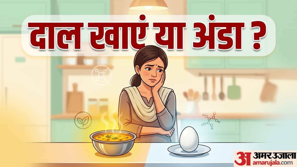 dal vs egg which has more protein in hindi dal ya egg kisme protein jyada hota hai