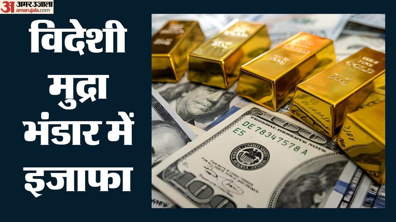 विदेशी मुद्रा भंडार
