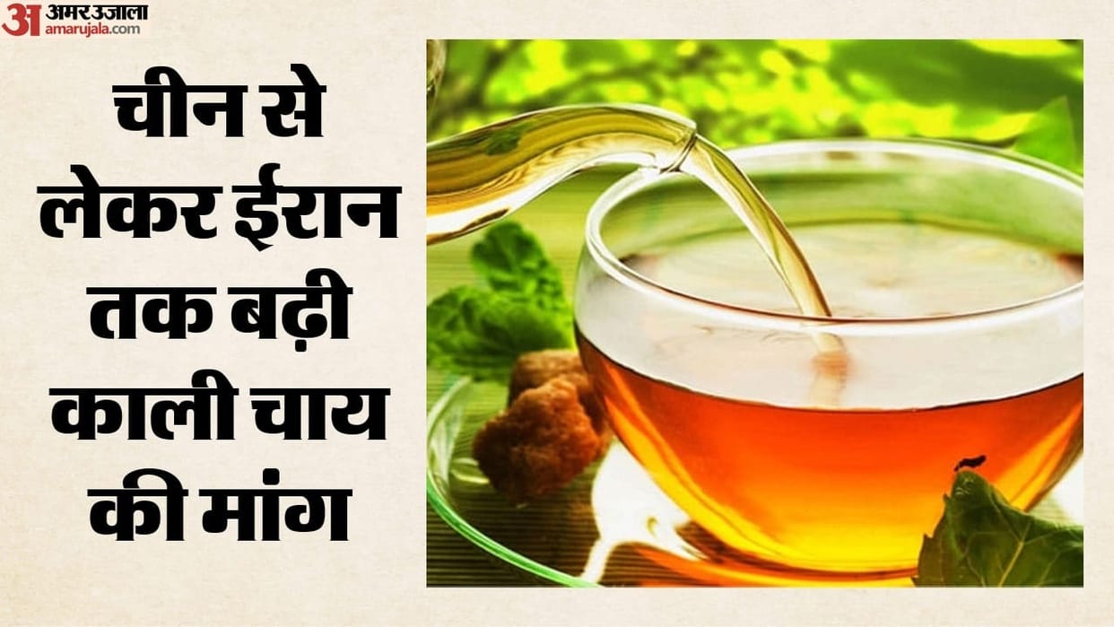 indian-black-tea-exports-rise-in-uae-iran-iraq-us-and-germany