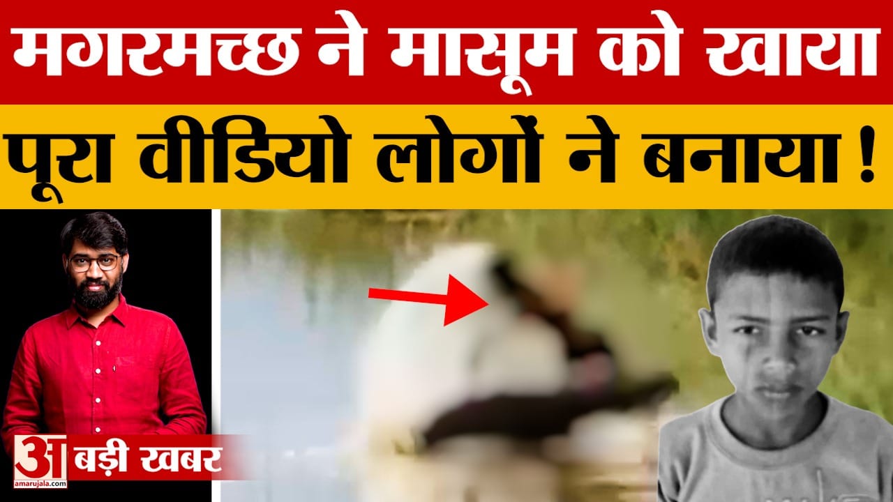 मगरमच्छ का शिकार बना बच्चा