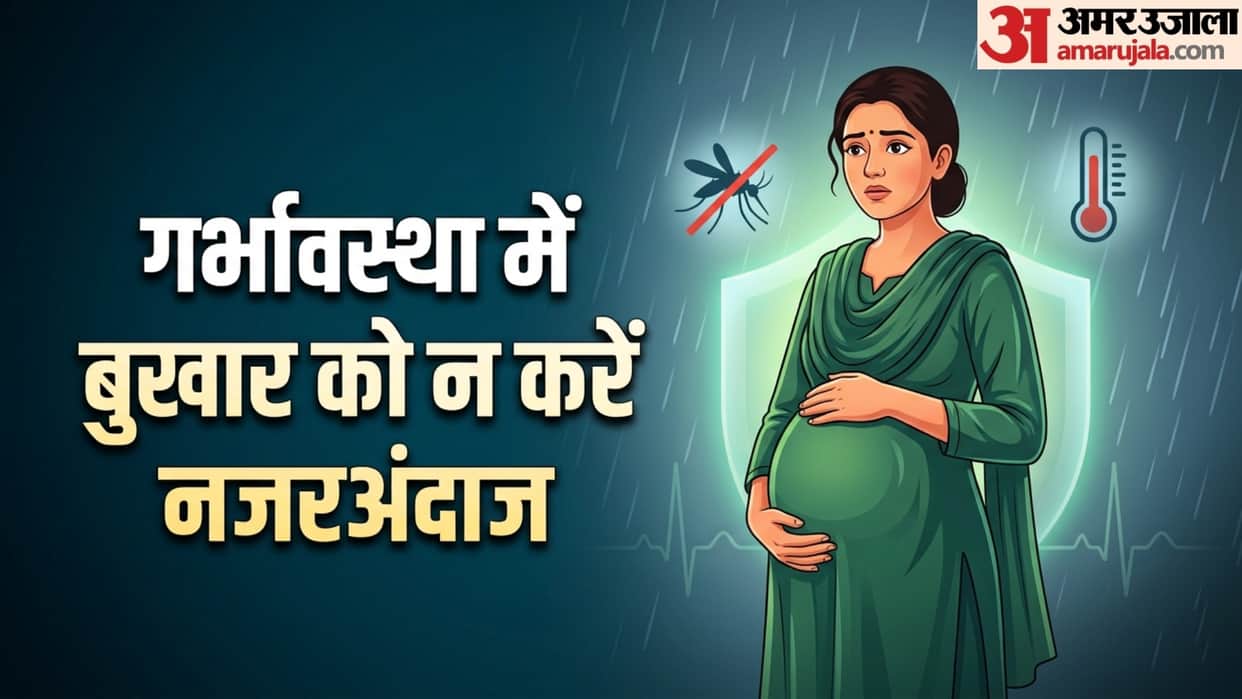 Monsoon Pregnancy Tips Essential Tips to Prevent Dengue and Malaria for pregnant woman