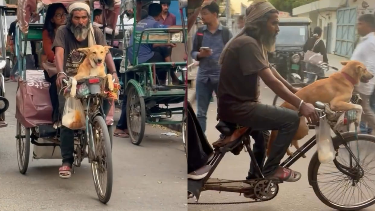 Noida rickshaw driver takes a street dog along with him every day while going to work viral video