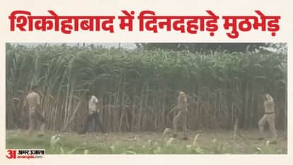 Major News from UP: Video shows crocodile devouring a helpless creature alive; Yogi lashes out at SP and Congr