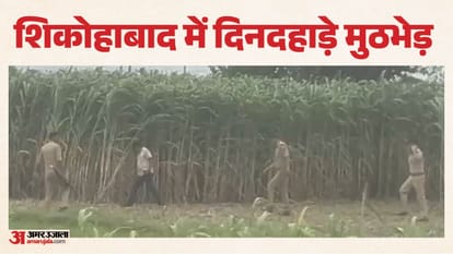 Major News from UP: Video shows crocodile devouring a helpless creature alive; Yogi lashes out at SP and Congr