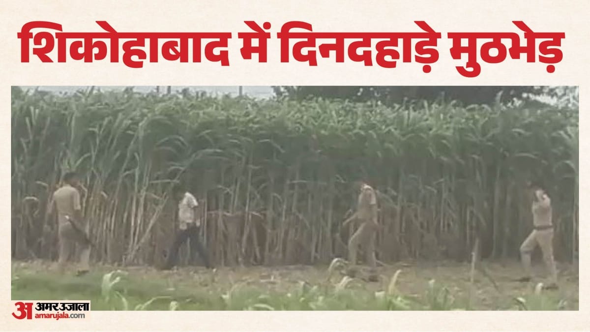 शिकोहाबाद मुठभेड़ में दोनों बदमाश ढेर, स्कूल के पास छिपे थे; SOG के दो जवानों को भी लगी गोली
