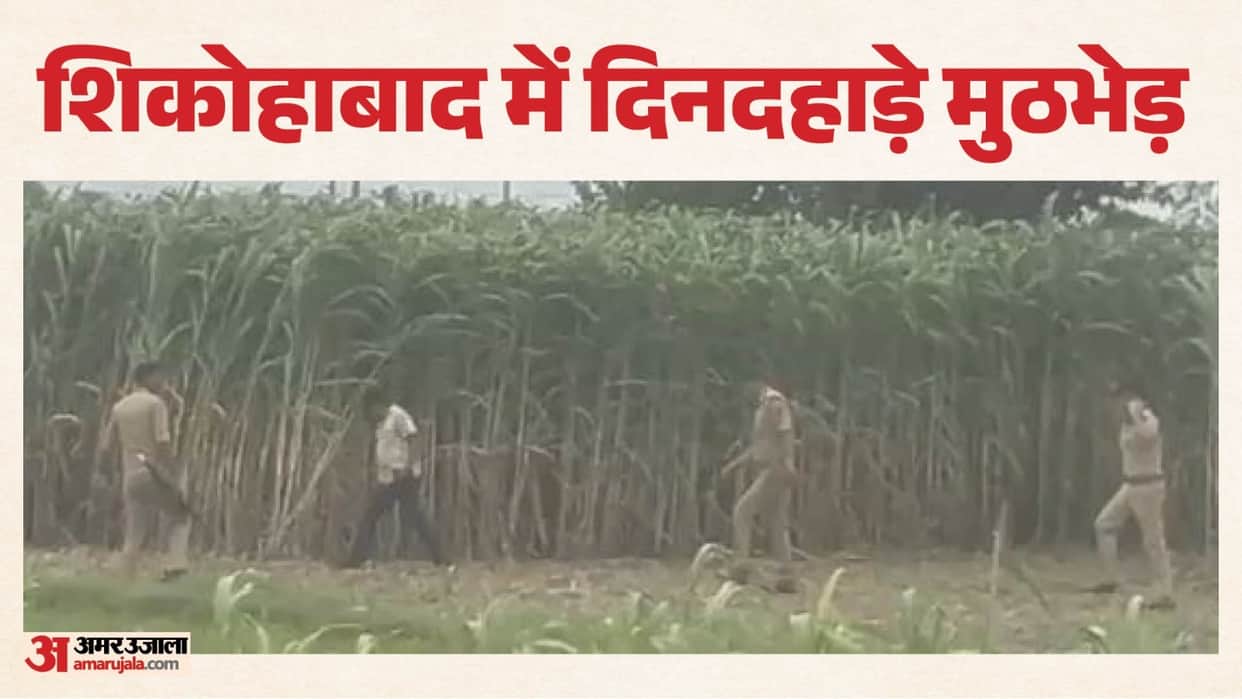 Two Etawah SOG Constables Shot Criminals Arrested in Live Encounter