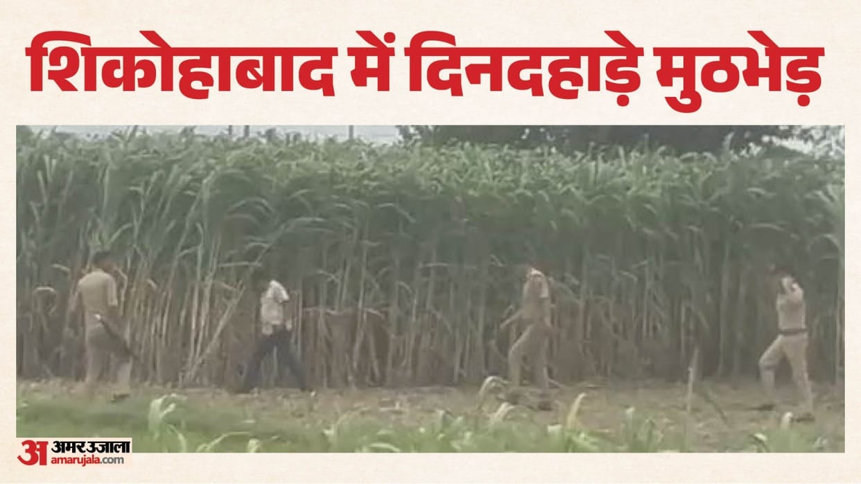 Two Etawah SOG Constables Shot Criminals Arrested in Live Encounter