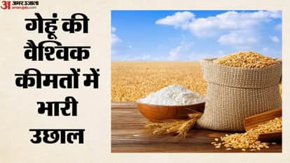 गेहूं की कीमत बढ़ीं
