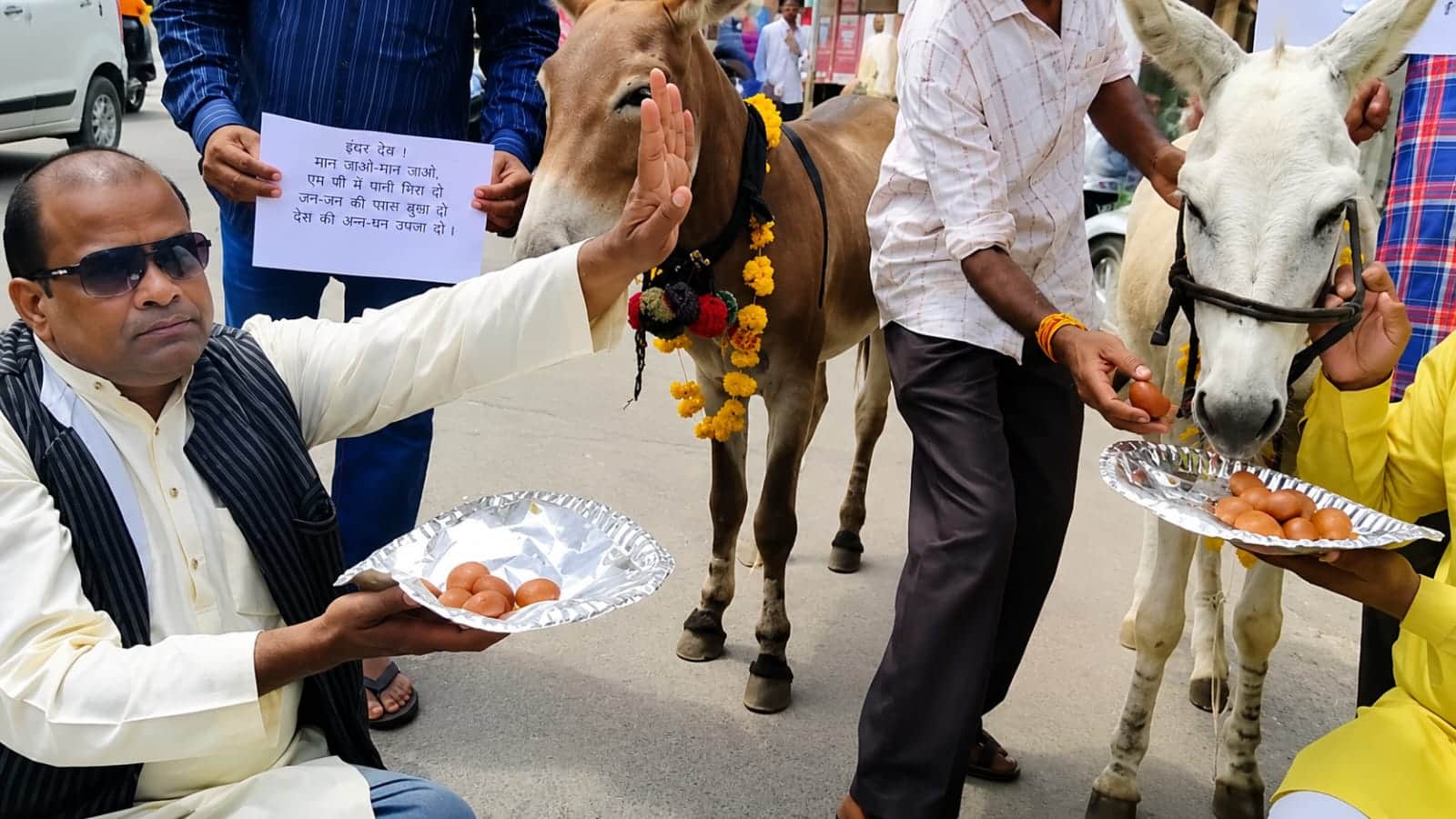 गधों को गुलाब जामुन खिलाकर अच्छी बारिश की प्रार्थना
