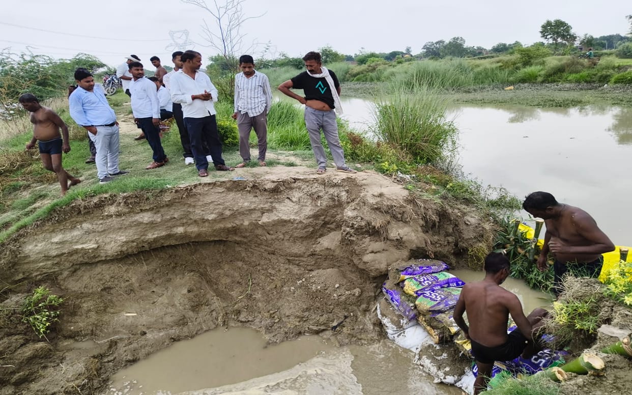 Hundreds of bighas of paddy crop submerged after canal bank breaches; farmers in distress.