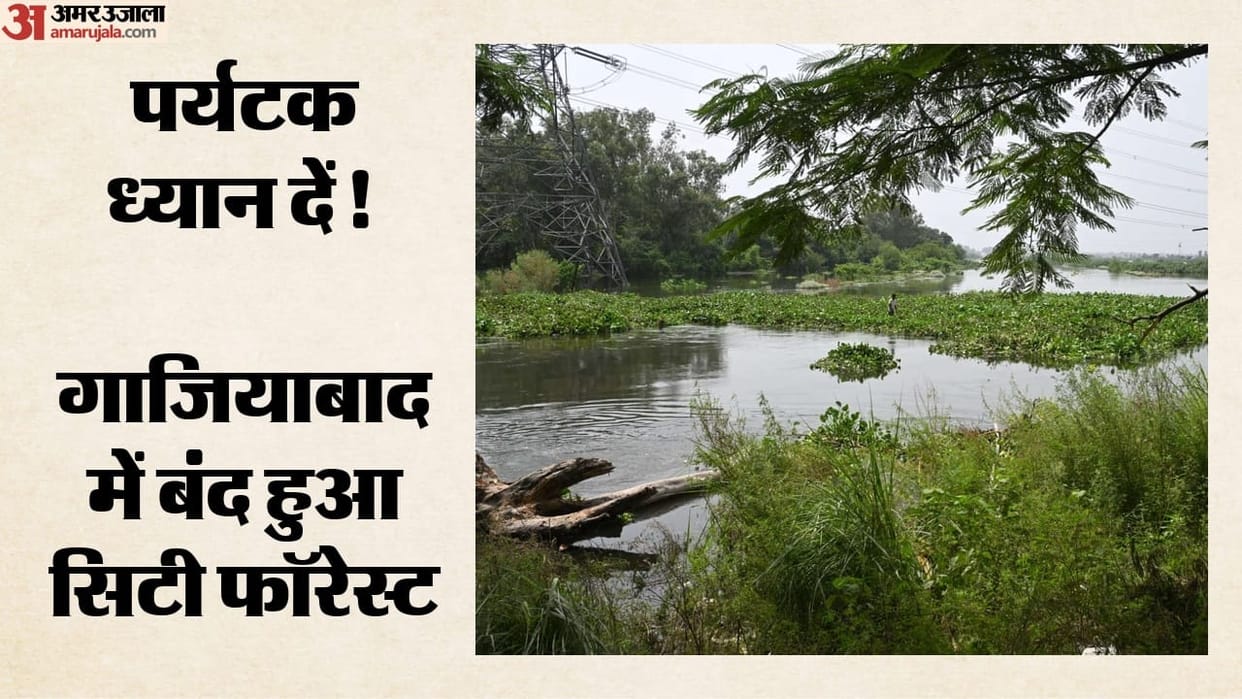 City Forest was closed after the water level in the Hindon River rose.