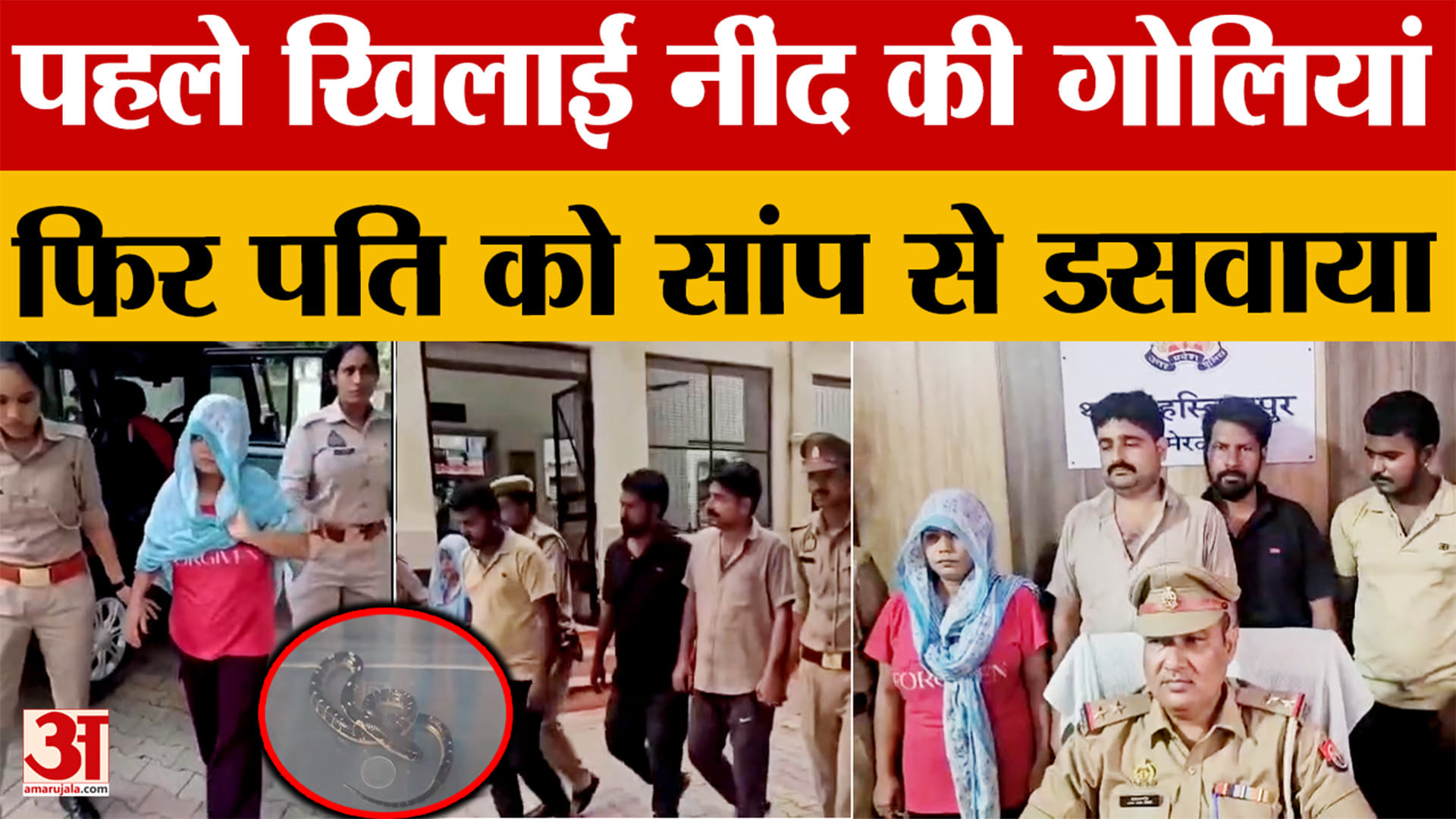 पति को खिलाईं नींद की गोलियां, सपेरे बुलाकर सांप से डसवा दिया