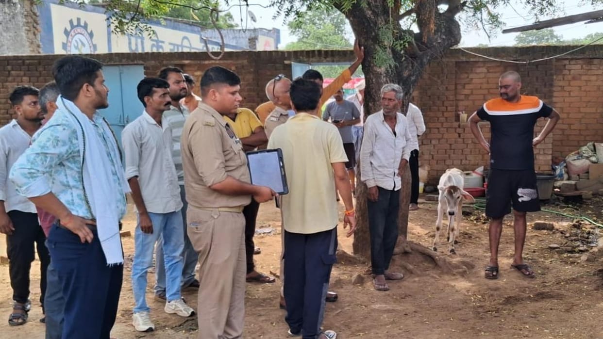 Jhansi: Three buffaloes died due to a live 11,000-volt power line