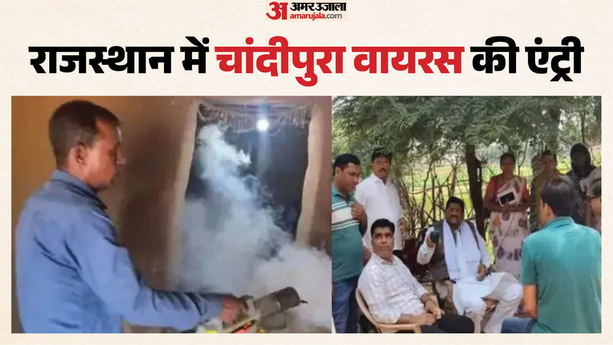 Chandipura Virus Knocks Rajasthan six Year-Old Girl Dies in Dungarpur High Alert Issued