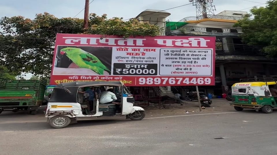 Reward of 50 thousand announced for finding missing parrot in Agra