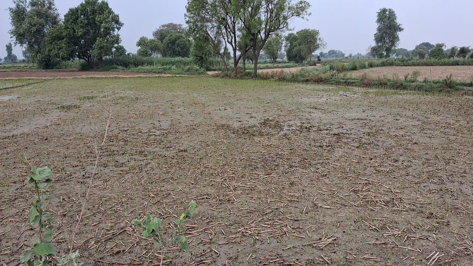 Farmers angry after tube well connections cut