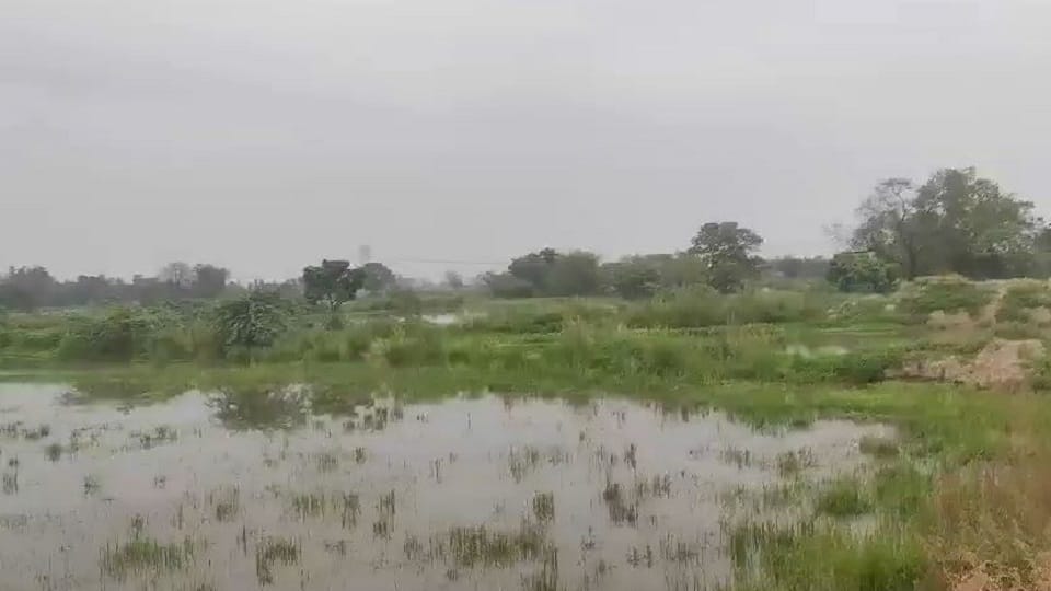 crops submerged due to rising water levels in Arind River in etah