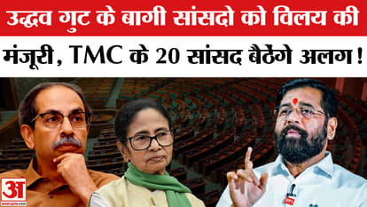 Lok Sabha Party Position List: Merger approved for Uddhav's rebel MPs; rebel TMC MPs to sit separately!