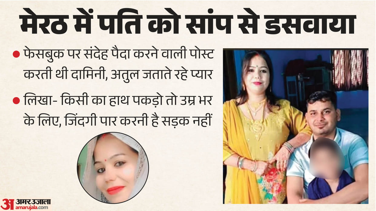 Meerut Snake atul murder Damini posts on Facebook that raised suspicions while Atul kept expressing his love