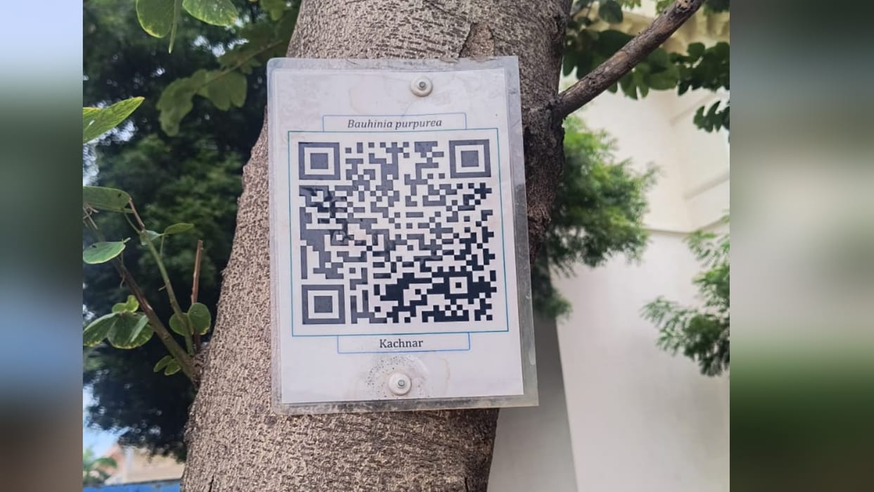A single scan reveals the history of trees—a unique initiative by Allahabad University.