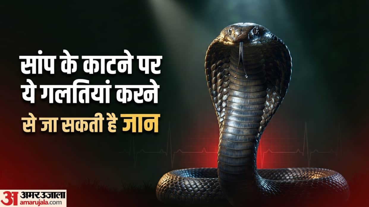 Saharanpur: Snake Bit Once, Superstition Claimed Life After Six-Hour Delay