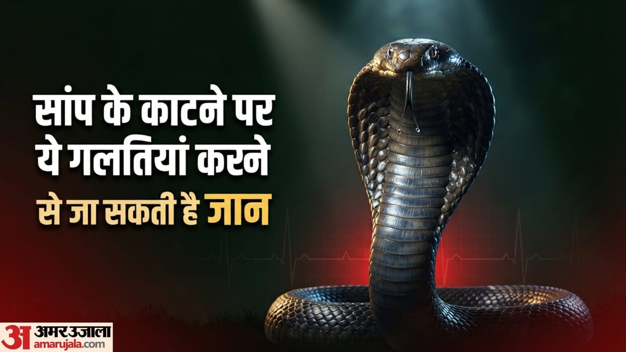 this Mistakes To Avoid After A Snakebite Know What To Do To Prevent Death
