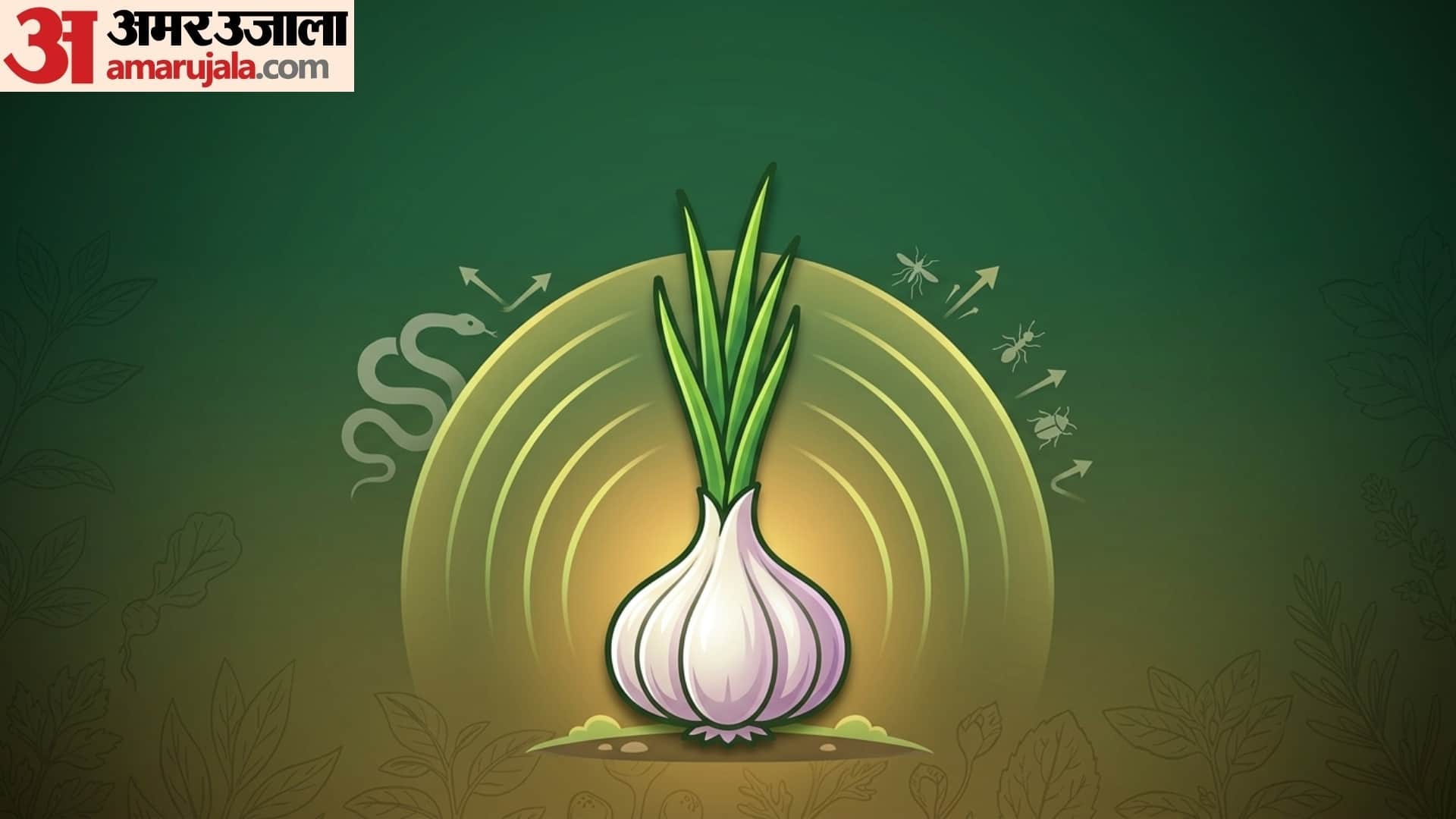 Snake Repellent Plants list in hindi saanp bhagane wala paudha