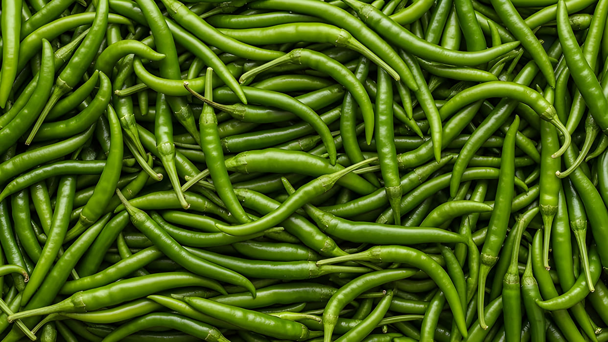 Green chilli price in usa vs india video goes viral on social media