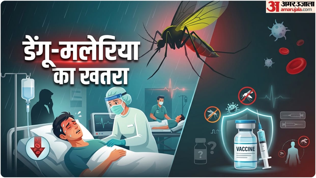 first dengue vaccine approved in india know malaria zika chikungunya treatment and their vaccine