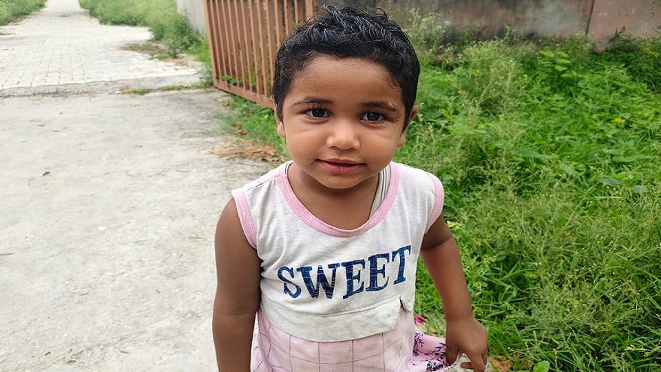 Girl injured in monkey attack in Poda